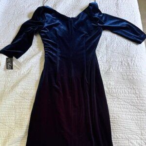 Alex Evenings Blue Velvet Dress
